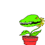 l_flytrap_title.gif